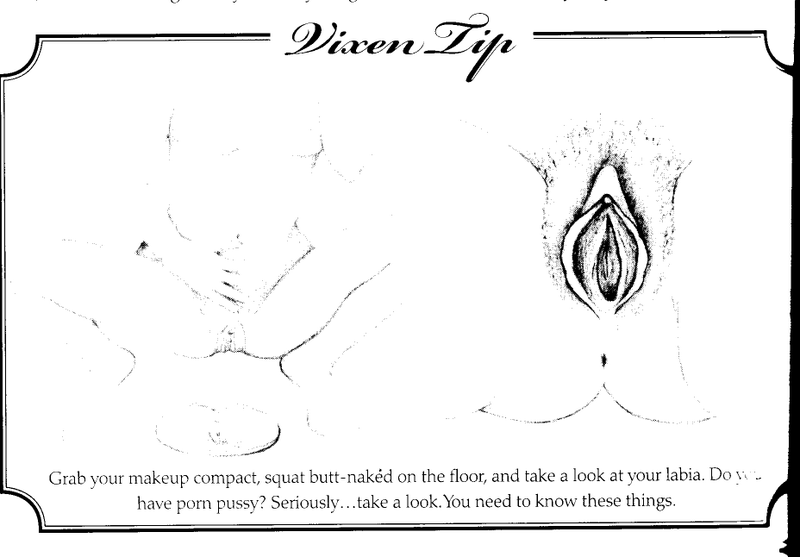 Illustration for article titled Karrine Steffans' The Vixen Manual: The Most Unlikely Dating How-To Ever Made